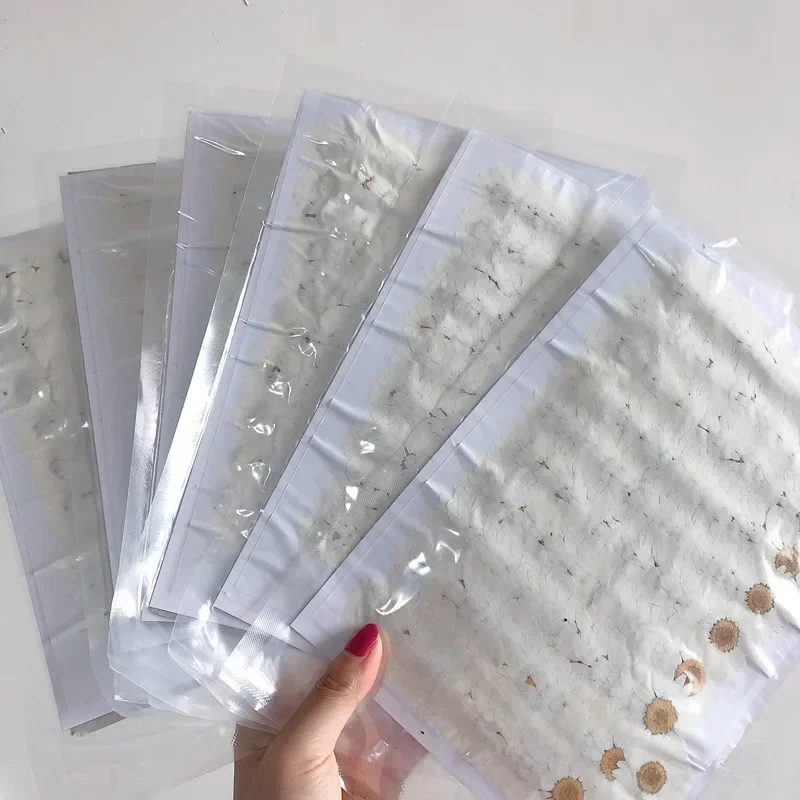 ดอกเบญจมาศแห้ง/ย้อมสี 60 ดอก ส - Dried Flower Bookmark บทวิจารณ์และราคา