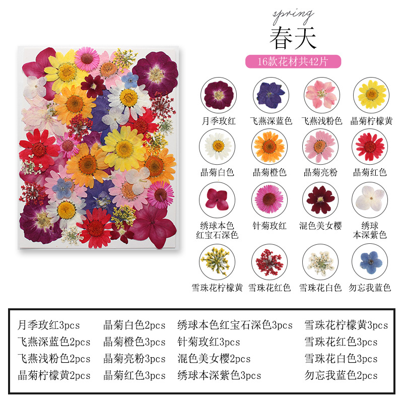 ชุดบุ๊คมาร์คดอกไม้และใบไม้จากธ - Dried Flower Bookmark บทวิจารณ์และราคา