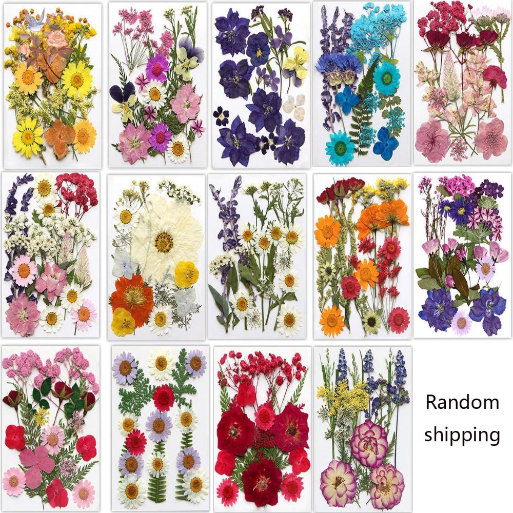 วัสดุทำที่คั่นหนังสือดอกไม้แห้ - Dried Flower Bookmark บทวิจารณ์และราคา